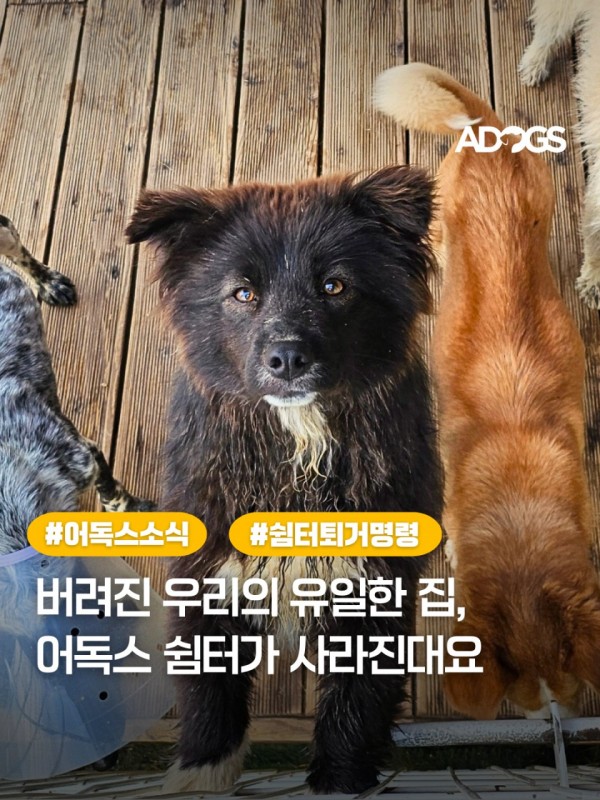 06f7dc593de1ee4a6009f2a85a34801c_1747044543_7492.png