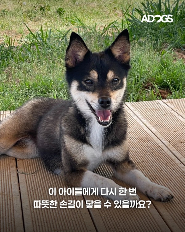 b39ef75695a93e6c4a52fe48f06f3fca_1752148629_2025.png