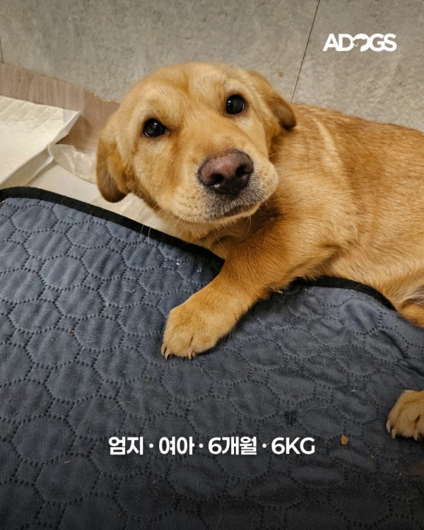b39ef75695a93e6c4a52fe48f06f3fca_1752149246_1475.png