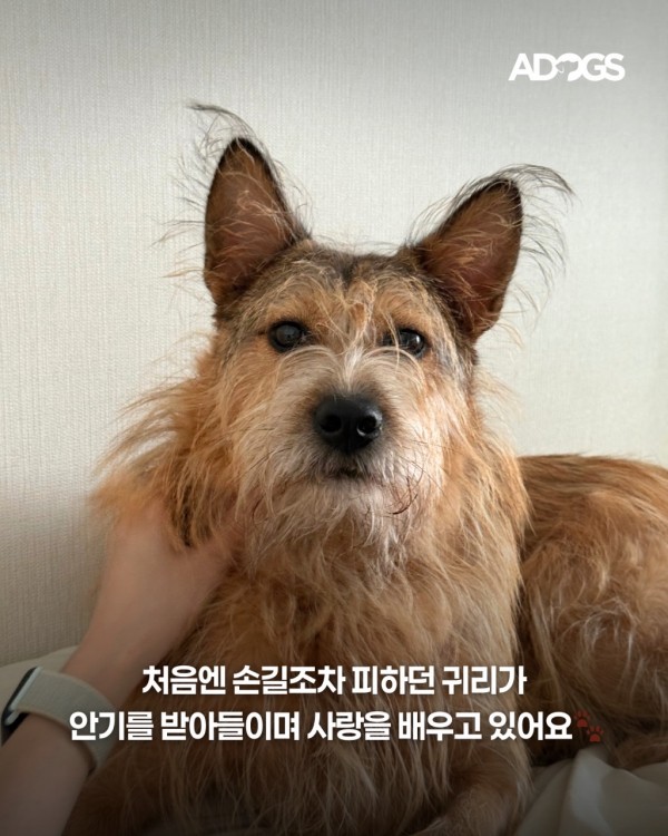 ffc72bb9faddb1e753d747d32bd6cad4_1759056762_2747.jpg